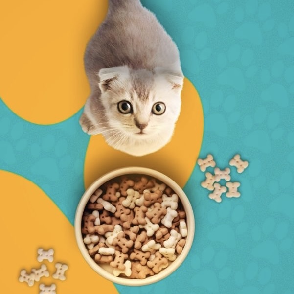 پت شاپ | تامین کننده ها